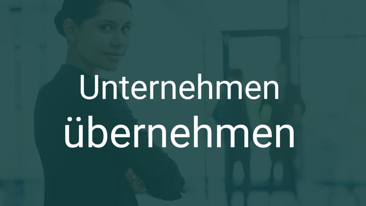 Grafik zur Unternehmensübernahme in der Softwarebranche, die Chancen und Strategien illustriert.